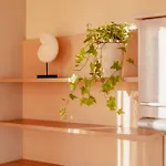 Lejlighed Chilliapartamenty - Fredry *
